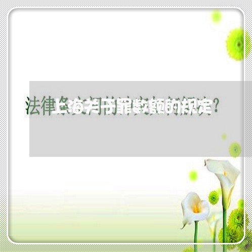 上海关于罪数额的规定/2023031636137