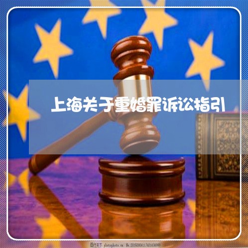 上海关于重婚罪诉讼指引/2023022648481