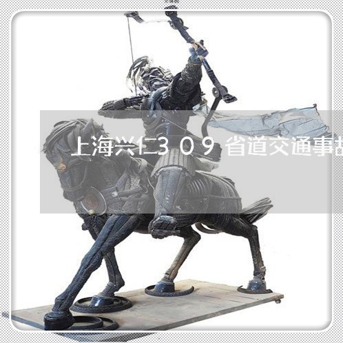 上海兴仁309省道交通事故/2023032993149 上海兴仁309省道交通事故/2023032993149