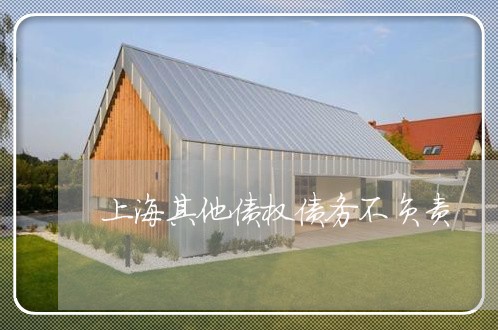 上海其他债权债务不负责/2023022685049
