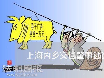 上海内乡交通肇事逃逸者/2023022684807