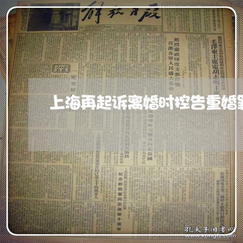上海再起诉离婚时控告重婚罪/2023032915036