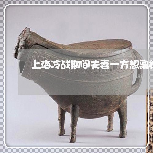 上海冷战期间夫妻一方想离婚/2023032907460 上海冷战期间夫妻一方想离婚/2023032907460