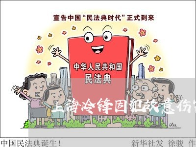 上海冷锋因犯故意伤害罪/2023022726393