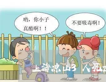 上海凉山3人死亡交通事故/2023031629171