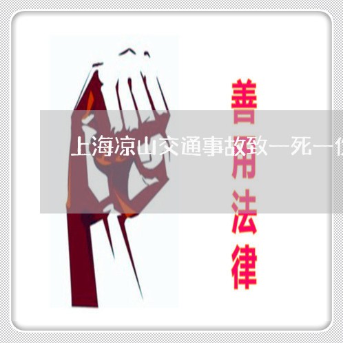 上海凉山交通事故致一死一伤/2023033027592 上海凉山交通事故致一死一伤/2023033027592