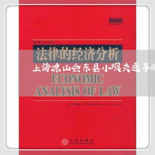 上海凉山会东县小坝交通事故/2023033094149 上海凉山会东县小坝交通事故/2023033094149
