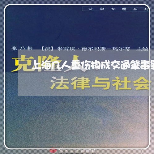 上海几人重伤构成交通肇事罪/2023032907928 上海几人重伤构成交通肇事罪/2023032907928
