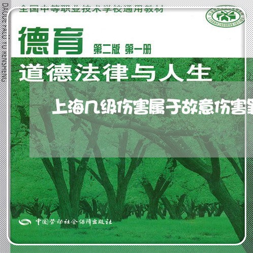 上海几级伤害属于故意伤害罪/2023032995938 上海几级伤害属于故意伤害罪/2023032995938