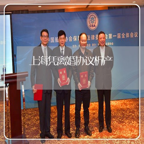 上海凭离婚协议析产/2023032805728 上海凭离婚协议析产/2023032805728