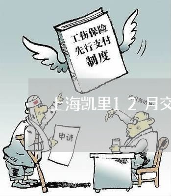 上海凯里12月交通事故/2023022718369 上海凯里12月交通事故/2023022718369