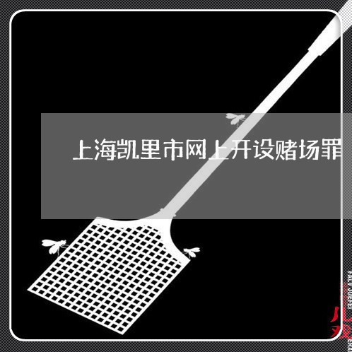 上海凯里市网上开设赌场罪/2023031615869 上海凯里市网上开设赌场罪/2023031615869