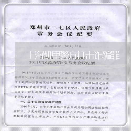 上海凯里警方打击诈骗罪/2023022769280