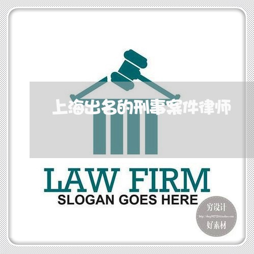上海出名的刑事案件律师/2023022760404