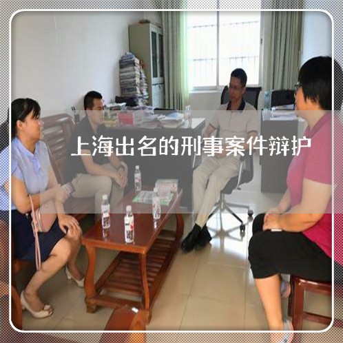 上海出名的刑事案件辩护/2023022718048