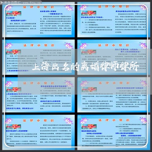 上海出名的离婚律师律所/2023022685707