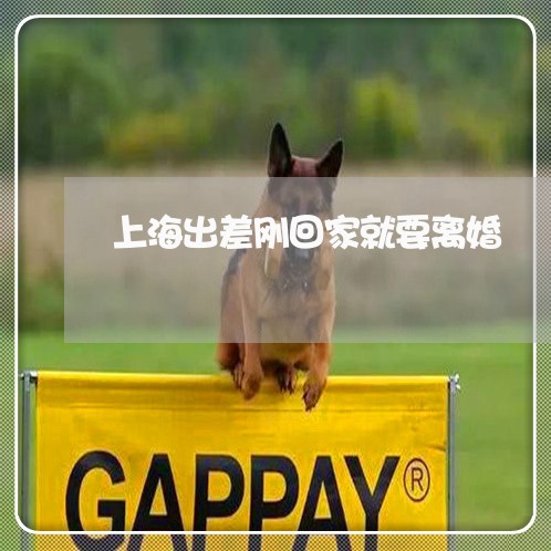 上海出差刚回家就要离婚/2023022771684 上海出差刚回家就要离婚/2023022771684