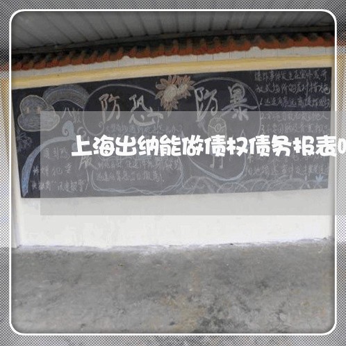 上海出纳能做债权债务报表吗/2023032940493