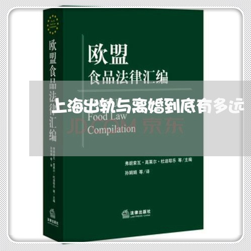 上海出轨与离婚到底有多远/2023032910694