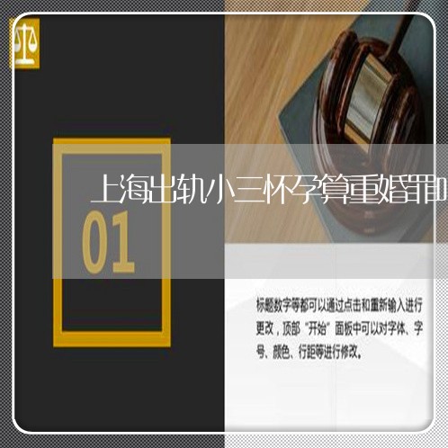 上海出轨小三怀孕算重婚罪吗/2023032920382