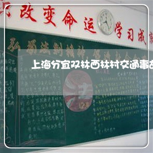 上海分宜双林西林村交通事故/2023032959282 上海分宜双林西林村交通事故/2023032959282