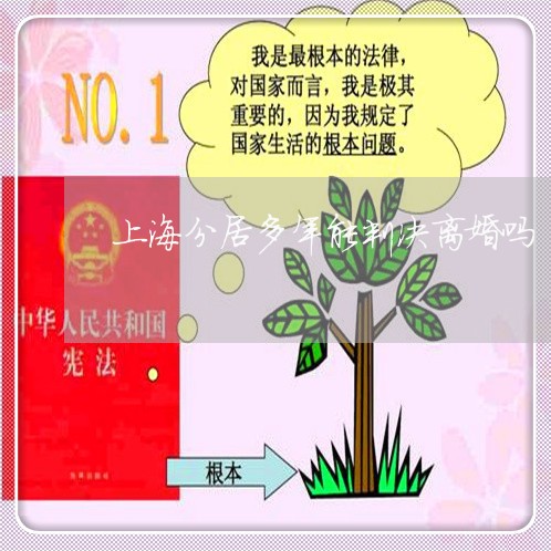 上海分居多年能判决离婚吗/2023032923385