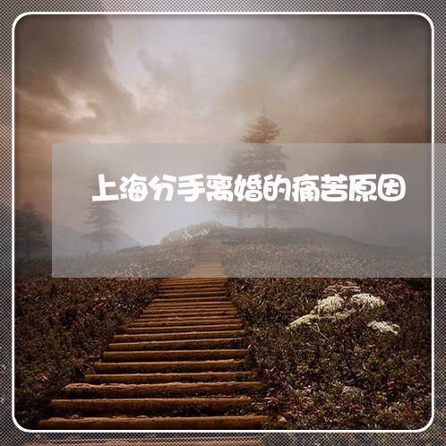 上海分手离婚的痛苦原因/2023022783515