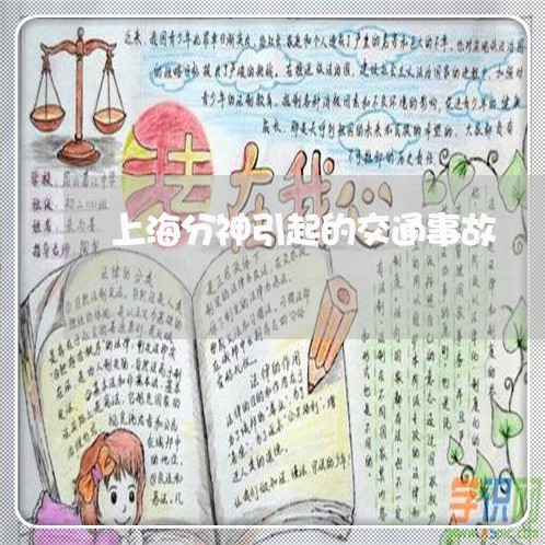 上海分神引起的交通事故/2023022789571 上海分神引起的交通事故/2023022789571