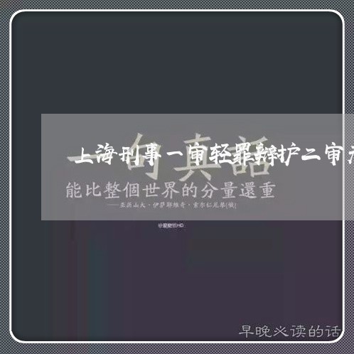 上海刑事一审轻罪辩护二审无罪/2023060396059