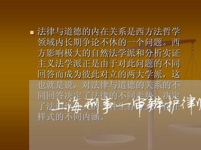 上海刑事一审辩护律师如何辩护/2023060314727