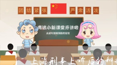 上海刑事上诉后的辩护词/2023022740461 上海刑事上诉后的辩护词/2023022740461
