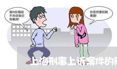 上海刑事上诉案件的辩护词/2023031648460