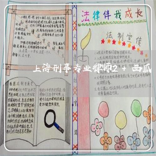 上海刑事专业律师2+西瓜/2023031751592 上海刑事专业律师2+西瓜/2023031751592