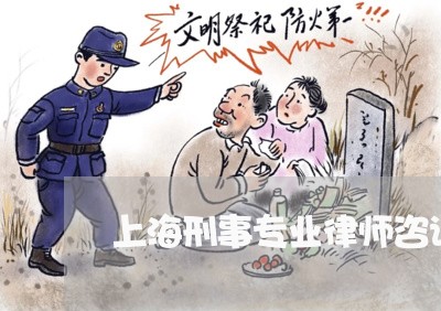 上海刑事专业律师咨询电话/2023032916268