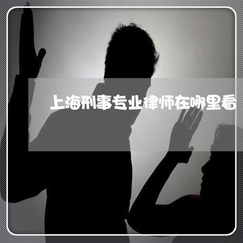 上海刑事专业律师在哪里看/2023032914724