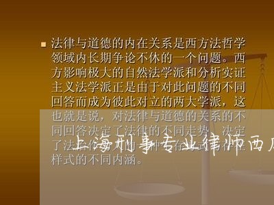 上海刑事专业律师西瓜影音/2023031651583