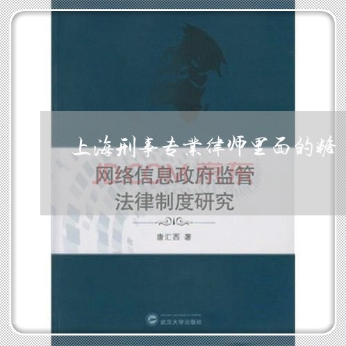 上海刑事专业律师里面的糖/2023032908269