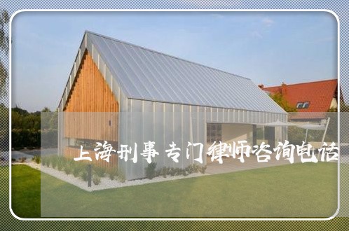 上海刑事专门律师咨询电话/2023031626058 上海刑事专门律师咨询电话/2023031626058