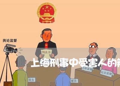 上海刑事中受害人的辩护人意见/2023060358460