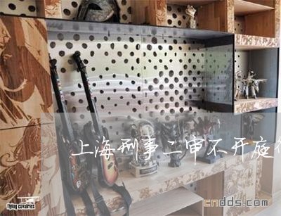 上海刑事二审不开庭律师/2023022706837 上海刑事二审不开庭律师/2023022706837