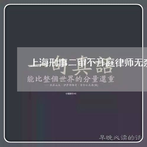 上海刑事二审不开庭律师无奈/2023033085046