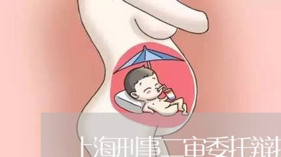 上海刑事二审委托辩护人/2023022795948