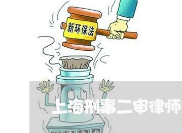 上海刑事二审律师会见次数/2023031693937
