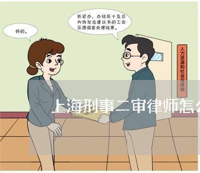 上海刑事二审律师怎么处理再审/2023060363726
