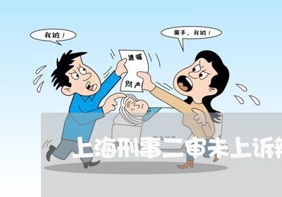 上海刑事二审未上诉辩护词/2023031616926