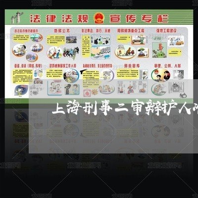上海刑事二审辩护人准备什么/2023033060607