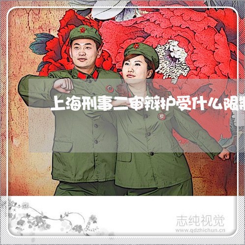 上海刑事二审辩护受什么限制/2023033096151 上海刑事二审辩护受什么限制/2023033096151