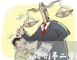 上海刑事二审辩护词提交时间/2023033074725