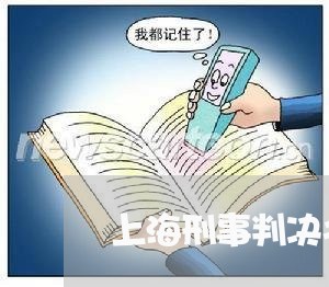 上海刑事判决书交通肇事罪/2023031646247