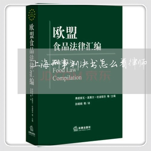 上海刑事判决书怎么看律师/2023032999472